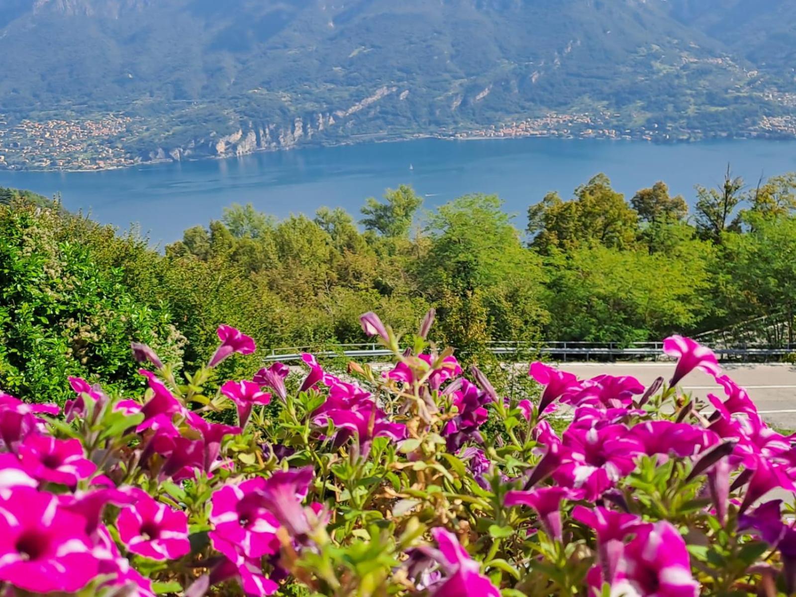 Bed & Breakfast Bellagio Kültér fotó