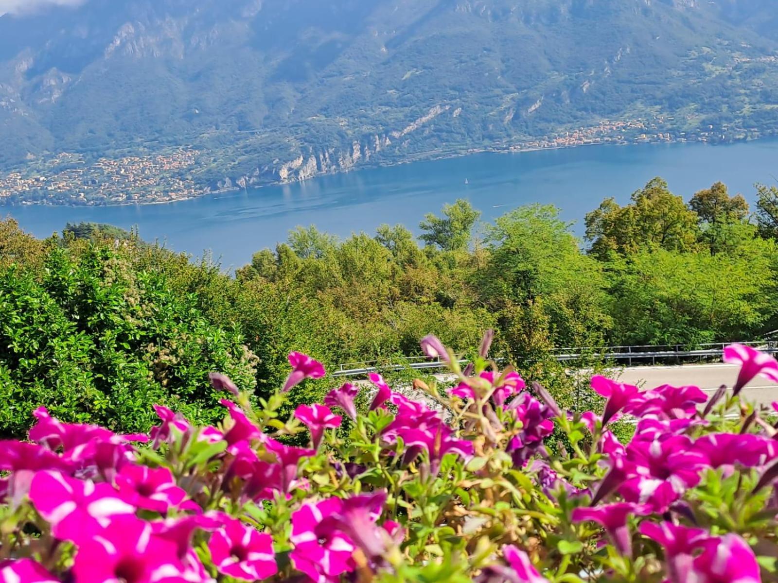 Bed & Breakfast Bellagio Kültér fotó